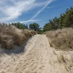 Duenengruen * Trassenheide