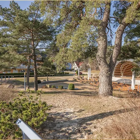 Duenengruen Trassenheide